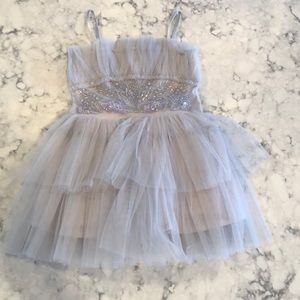 Ooh! La, La! Couture Grey Tulle Dress